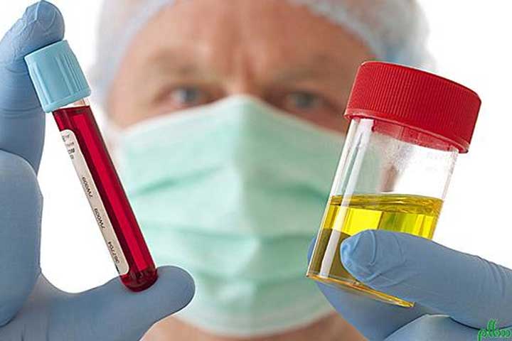 آزمایشگاه-دکتر-ریاضی